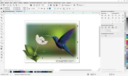CorelDRAW — скриншот 3